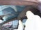 2023 Tesla Model X Plaid